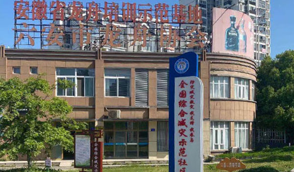 六安市月亮島小區(qū)改造智慧安防項(xiàng)目